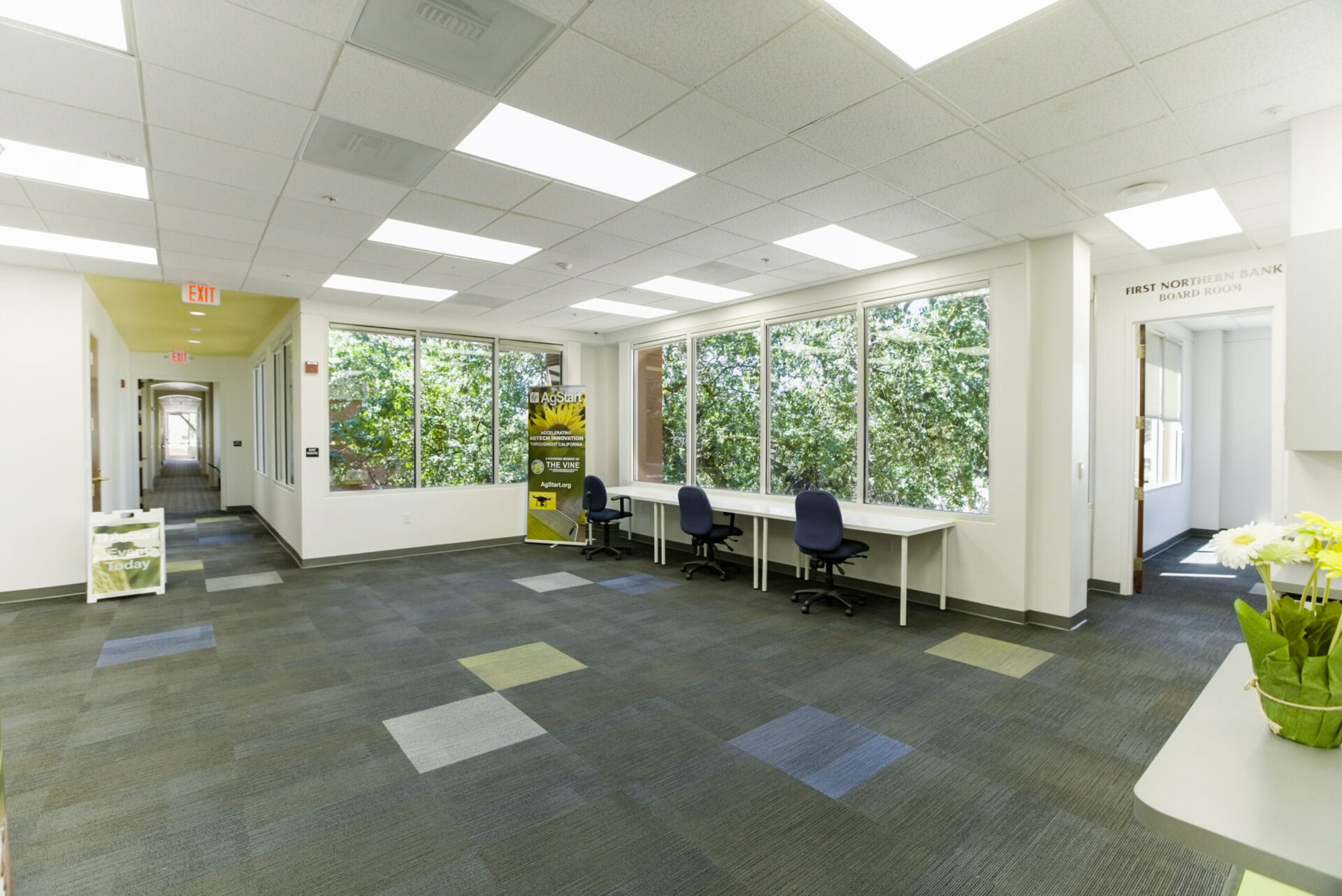 gallery